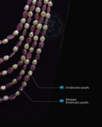 The Modern Muse Ruby & Pearl Necklace - Ruby GF Beads with Freshwater Pearls